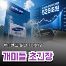 "두 눈을 의심했다"…삼성전자 내년 주가 전망이 무려 이 정도라고?
