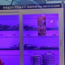 삼계가야밀면&언양불고기