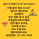 선릉파출
