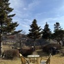 홍천더테라스 이미지