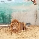 인교동 공구골목 상 | [역사이야기] 불로동(不老洞) 고분군(古墳群)과 달성공원(达城公园) 탐방기