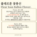플레르룬 이미지