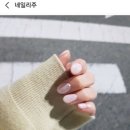 네일리;주