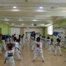 명성 바른자세 태권도 이미지