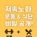 저속노화를 위한 건강법 슬로우조깅&코어 | 부산시청피티 저속노화를 위한 운동과 식단, 부산시청 FMPT에서 시작하세요!