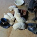 길자농장 이미지