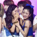 (주)나인앤식스 이미지