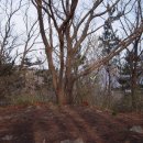 봉화산주차장 이미지