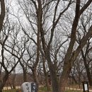 천년숲서로 이미지