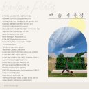 백송 | 체험으로 갔다가 내돈내산 하고온 백송필라테스 후기(야당 필라테스 추천)