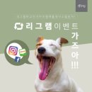 플레이펫 이미지