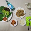 옐로우샤크 이미지