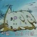 나00