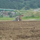 나린농장 이미지