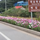 라온피아노음악교습소 이미지