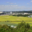 학미소풍 이미지