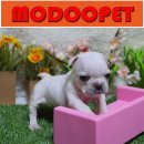 모두와샵 이미지