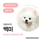 백미치킨 - 40203 | #제품협찬 [강아지 생식] 닭고기 생식, 정글키친 본+치킨포켓 후기