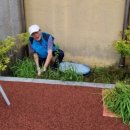 돌산공중목욕장 이미지