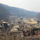 조계종, 산불 피해·문화유산 복구 위한 긴급모금 시작 이미지