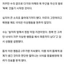 냥냥펀치 이미지