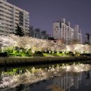 온천천~수영강연결 산책로 입구 이미지