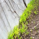 아름솔유치원 이미지