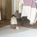 우리의 상상 때문에 우주가 우리를 떠나지 못했으면 좋겠어