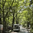 서울대공원 캠핑장 이미지