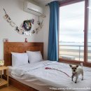 아담펜션 | 고성 오즈펜션 - 아담하지만 없는 게 없는 애견동반 펜션 후기