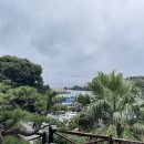 동산반찬 | 제주 갈치조림 맛집 찾는다면? 서귀포 바다뷰 횟집 중문 대포동산횟집 후기