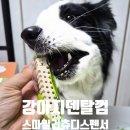 스마일리 | 강아지덴칼껌 추천 펫퍼스 스마일리츄 디스펜서 솔직후기