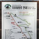 ＜252＞3월28일＜토요일＞'잠시 속세를 떠난다면' 전남 구례 화엄사 치유의숲길/솔드아웃 이미지