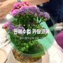 카랑코에 | 부산암치료병원 새힘병원 암재활 문화프로그램 카랑코에 심기