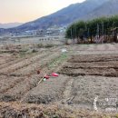 덕촌농장 이미지