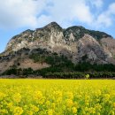 산방산