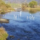 내북보건지소 이미지