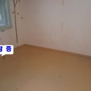 신평 신익강변 이미지
