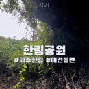 애견운동공원(3~10월) | 제주 한림 가볼만한 곳 한림공원 애견동반 방문후기