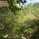춘천시동면상걸보건진료소 네이버블로그