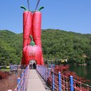 칠갑산토종닭 이미지
