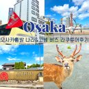 오사카 나라 고베 일일투어 근교 버스 투어 라쿠투어 추천 사슴공원 아리마온천 코스 후기