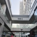 렌즈미 송도점 | 송도 트리플스트리트 | 파스타 | 테라코타 | 블루리본 맛집 인정한 솔직후기
