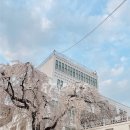 개화막창 이미지