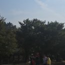 같이삽시다 | 현충사 무료입장 단풍과 은행나무길 주차 편한 카페 후기(feat.같이삽시다 촬영중)