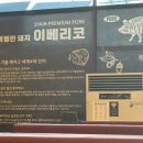 진베리코 이미지