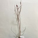 수지로6L 이미지