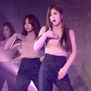 박초롱 카카오 검색결과