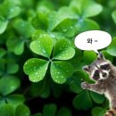 더랩팩토리 이미지