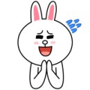 투니애견미용실 이미지